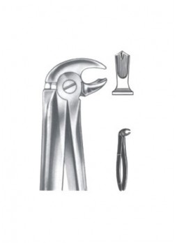  Extracting Forceps